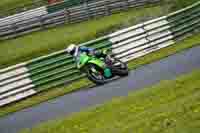 Lower Group Green Bikes